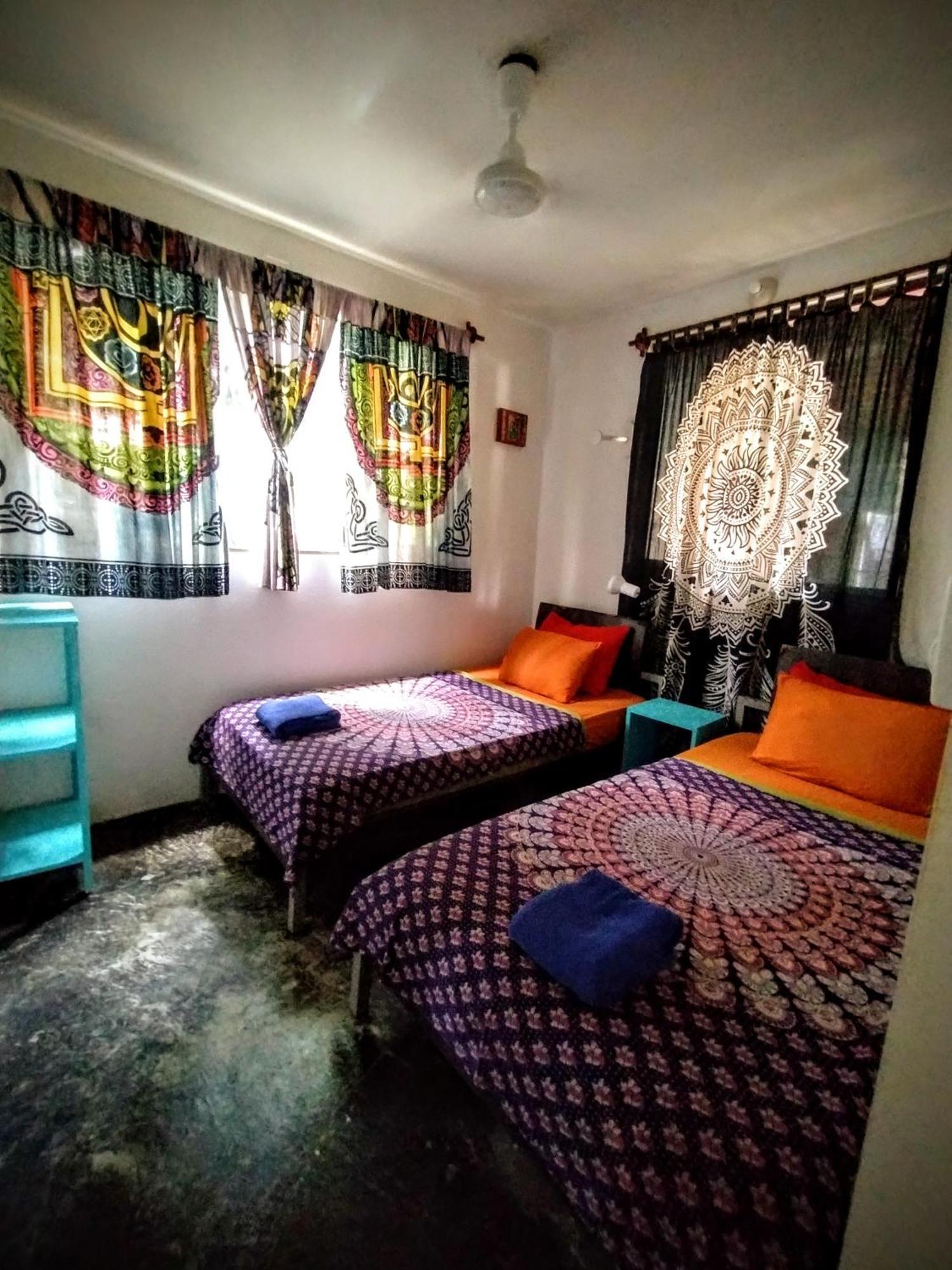 Casajungla Hostel ハコ エクステリア 写真